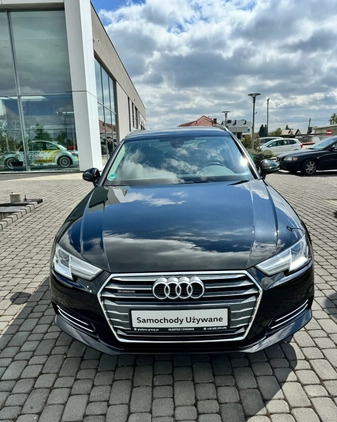 Audi A4 cena 91500 przebieg: 112400, rok produkcji 2016 z Bierutów małe 667